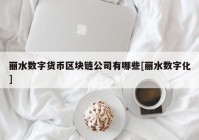 丽水数字货币区块链公司有哪些[丽水数字化]