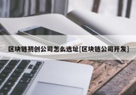 区块链初创公司怎么选址[区块链公司开发]