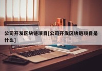 公司开发区块链项目[公司开发区块链项目是什么]